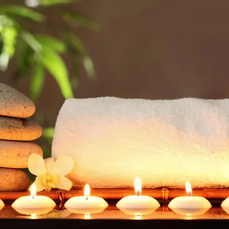 Hotel Gran Chalet Hotel & Petit Spa Vielha